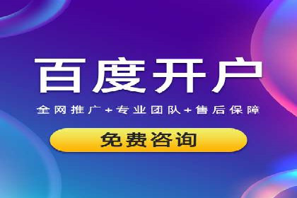 电商成功案例：竞价推广助力品牌崛起